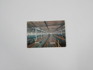 1960's Ferrari Maranello Factory Production Line Postcard