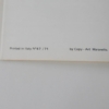 Ferrari 365 GTB/4 Daytona USA Additional Instructions Supplement Manual