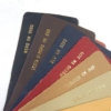 Ferrari 1970s Connolly Leather Sample Swatch