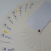 Ferrari 1980s Glasurit Paint Sample Swatch