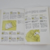 Ferrari 308 GT4 Dino Owner's Manual Handbook