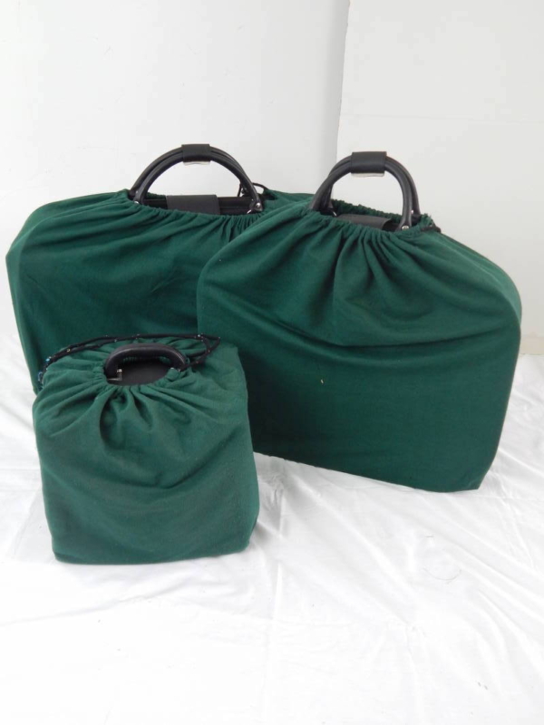 Ferrari 456 GT 3-Piece Schedoni Leather Luggage Set