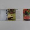 Ferrari 246 GT Brochure 1970