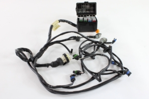 1995-97 Ferrari F50 Wiring Harness and Fuse Box 161423