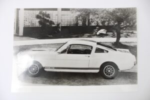 1965-67 Shelby Mustang GT350 Period Factory Press Photo