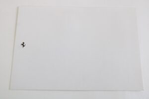 2000s Ferrari OEM Envelope (232mm x 167mm)