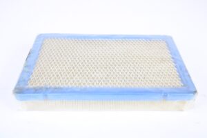 1999-2005 Ferrari 360 Modena Spider Challenge Stradale Air Filter 190880