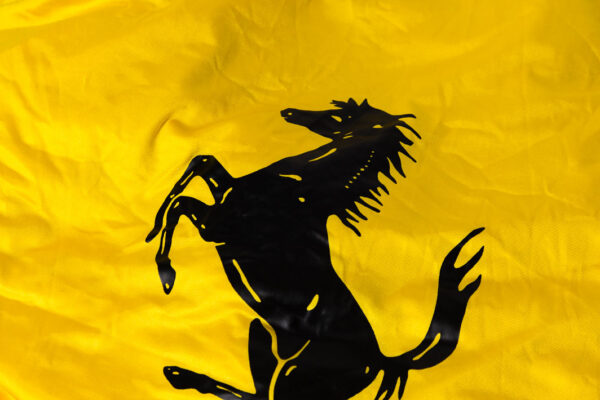 1995-99 Ferrari F355 Spider OEM Yellow Indoor Satin Car Cover