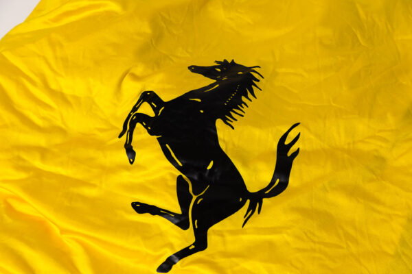 1995-99 Ferrari F355 Spider OEM Yellow Indoor Satin Car Cover