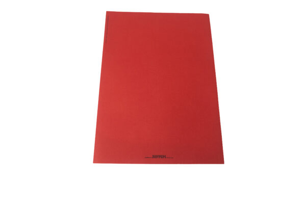 1994 Ferrari F355 Berlinetta Press Folder Brochure